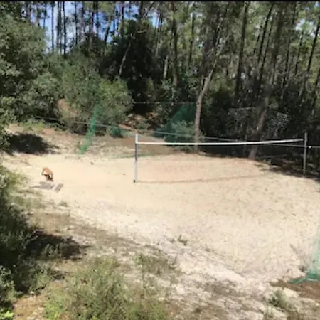 Maison Charmante A Avec Piscine Partagee Et Terrasse Semesterbostad Lacanau